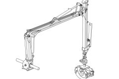 zuraw-palms-1.42-01
